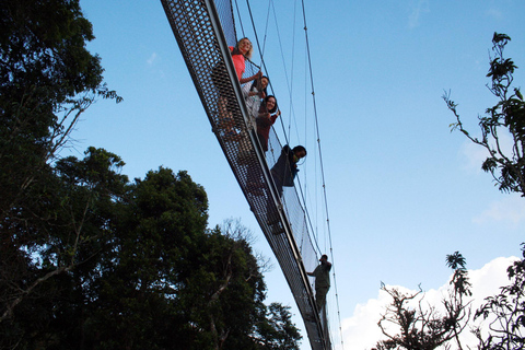 Kigali: 7-Day Safari, Wildlife Immersion, Big 5 to Gorillas