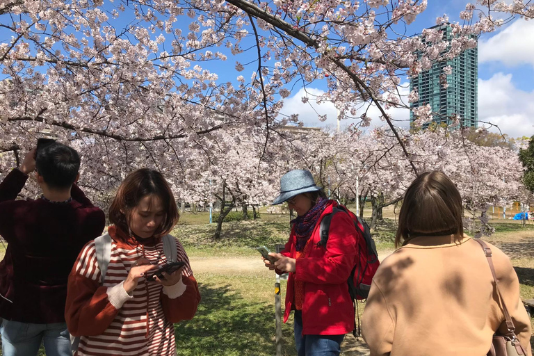 Osaka: Springtime Sakura Picnic "Hanami"
