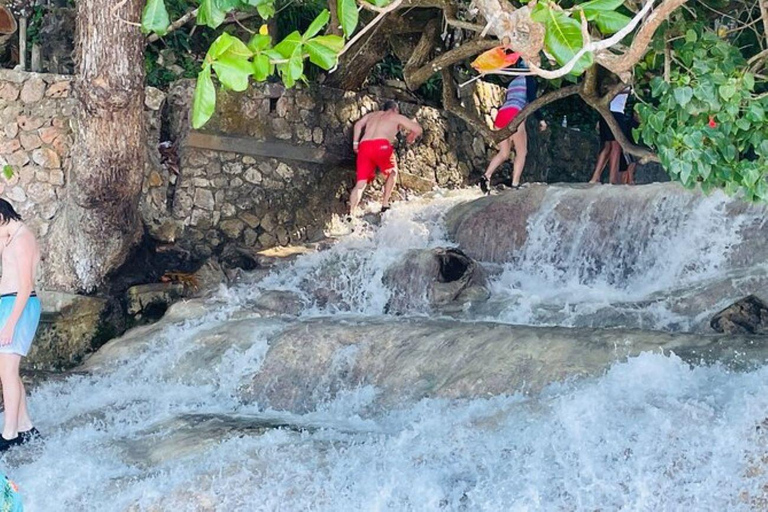 Montego Bay: Private Bob Marley and Dunn's River Falls Tour