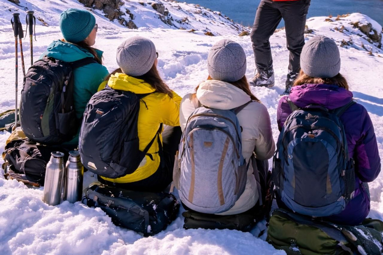 Tromsø: 4-Hour Snowshoe Hike for Beginners (max. 8 people) Tromsø: 4-Hour Snowshoe Hike for Beginners (Max. 8 People)