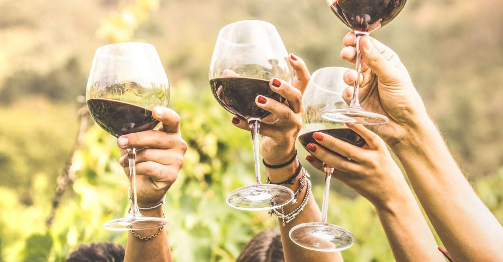 Grape Escapes Full-Day Wine Tour in Ithaca - Housity