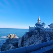 Busan: Private Tour - Yonggung Temple, Bamboo Forest, Sky Walk