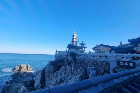 Busan: Guided Tour with Temple, Cave, and Palace Visits