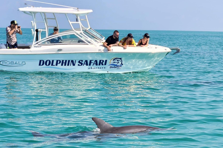 Delphin Schnorcheln &amp; Sandbar Key West