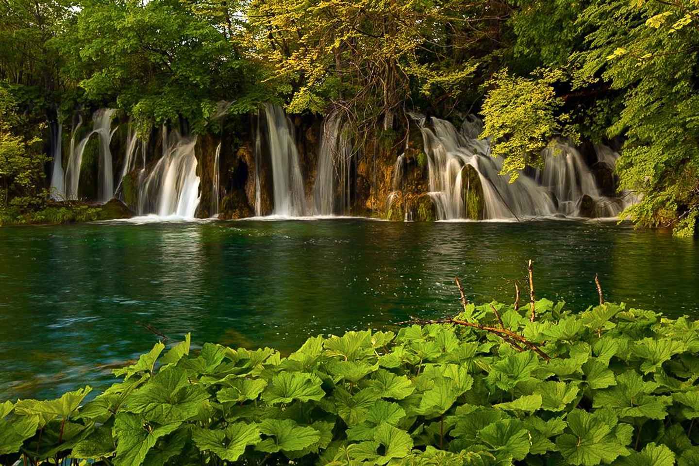 Plitvice Lakes Private Guided Tour - Lower Lakes Tour