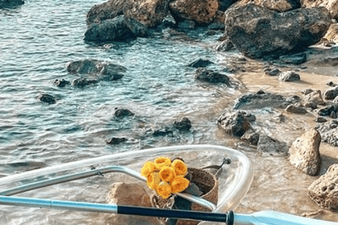 Clear Kayak Tour at Sint Maarten