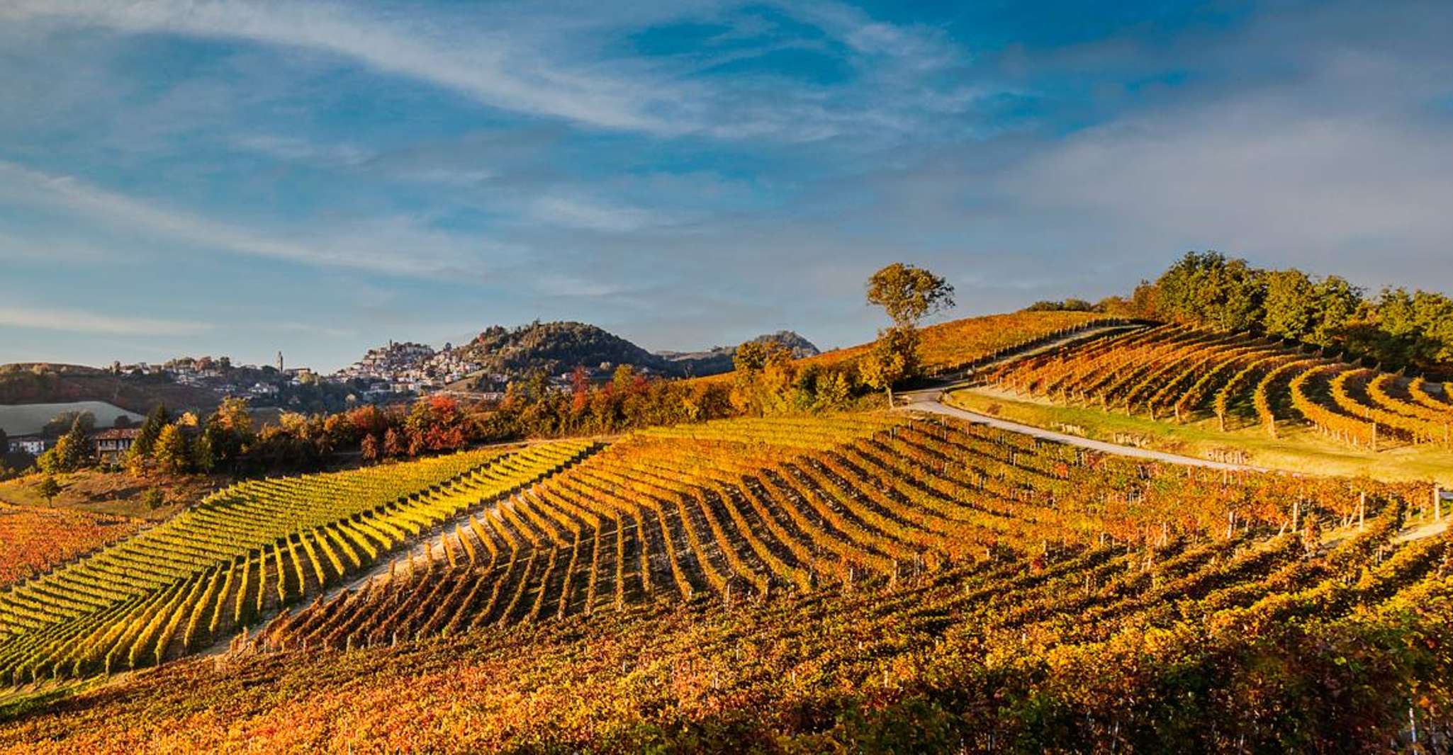 Suitetrails - The Madama, Wine tasting in La Morra