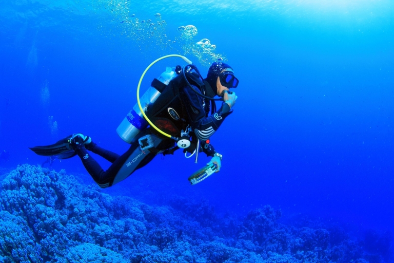 From Side: Scuba Diving: Explore the Depths Scuba Diving Tour