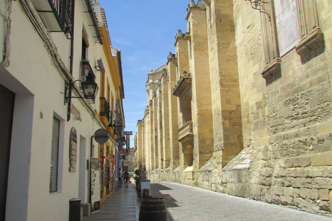 Córdoba Mid-Morning Walk - Små grupper, infödda engelska.