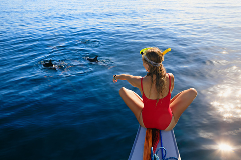 Benalmádena: Tour en barco para avistar delfinesBenalmádena: tour en barco para avistar delfines