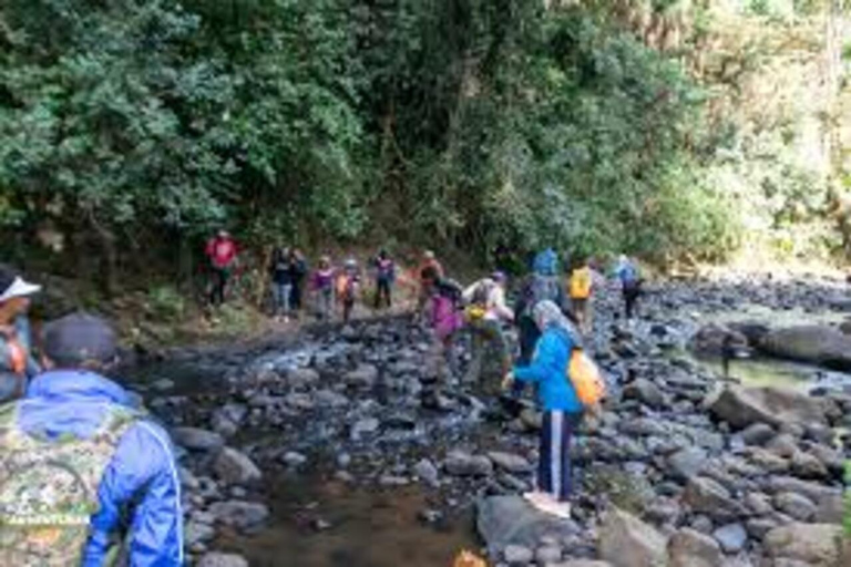 Nairobi: Kipipiri Bamboo Forest Hike with Transfer