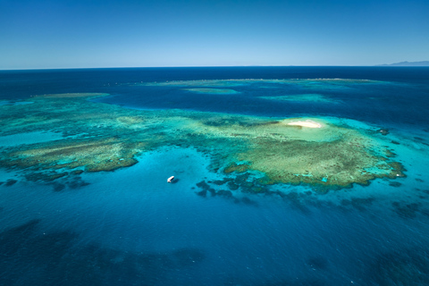 Au départ de Cairns : Visite d&#039;une demi-journée de plongée en apnée sur la Grande Barrière de Corail