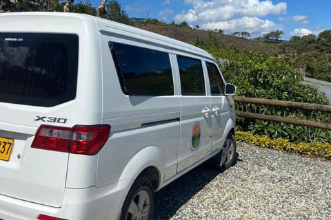 Medellín: A Nature Journey Into Medicinal Cannabis Option 1: Basic Educational Cannabis Tourism Experience