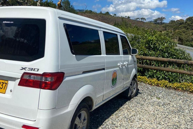 Medellín: A Nature Journey Into Medicinal Cannabis Option 1: Basic Educational Cannabis Tourism Experience