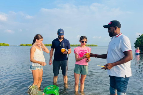 From Negombo: Boat Tour of Negombo Lagoon