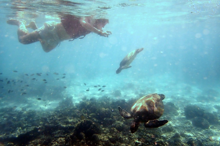 Excursión de snorkel a las Islas Dimaniyat de MascateExcursión compartida de snorkel en Mascate a las Islas Dimaniyat
