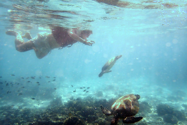 Muscat Dimaniyat Islands Snorkeling TourMuscat - wspólna wycieczka z rurką na wyspy Dimaniyat