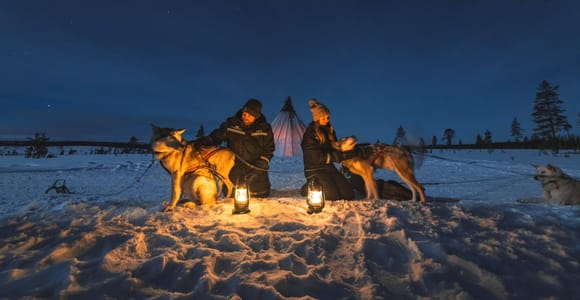 Saariselkä: Husky Safari with Aurora Borealis Hunt