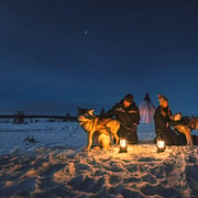 Saariselkä: Husky Safari with Aurora Borealis Hunt