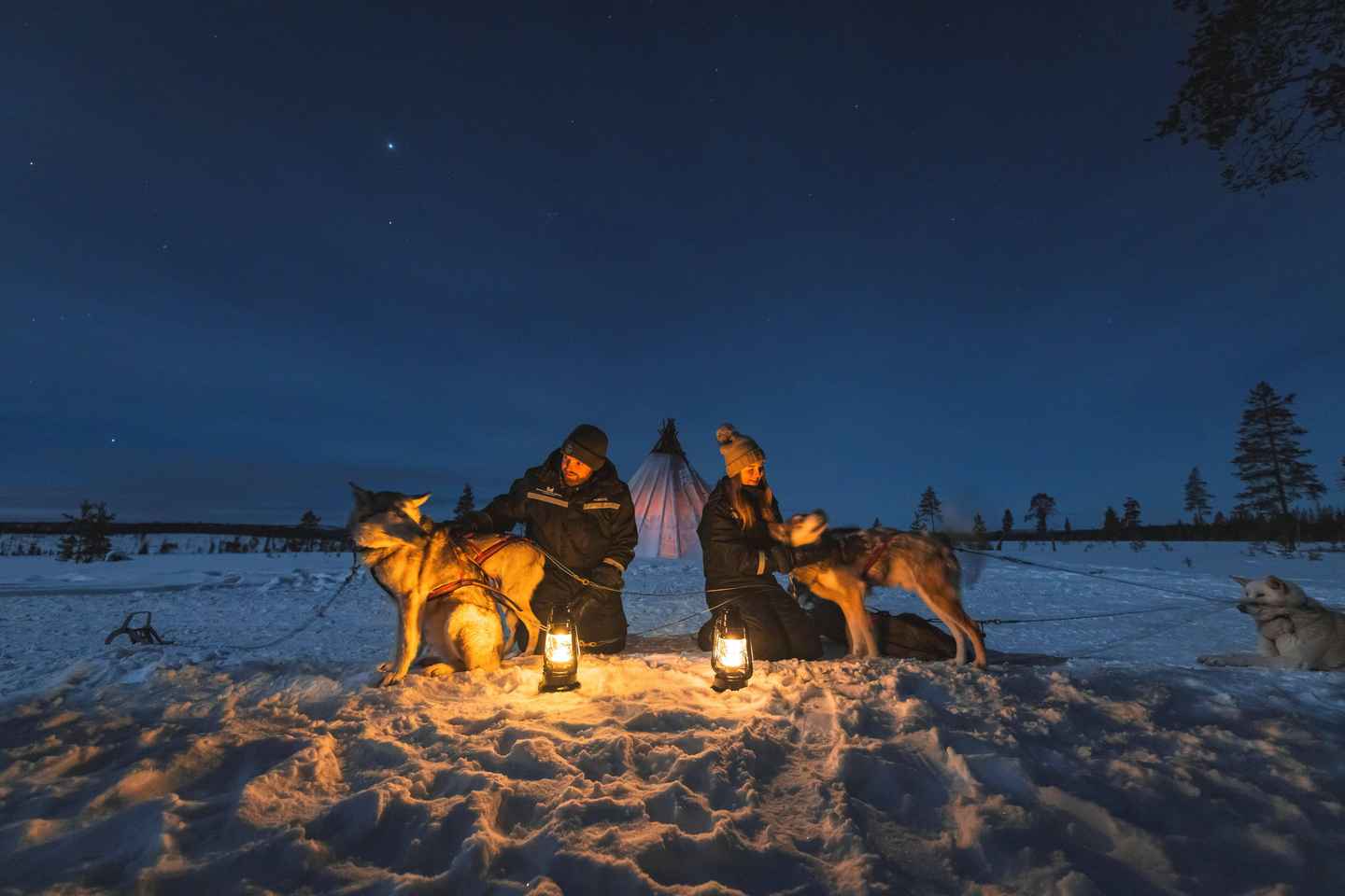 Saariselkä: Husky Safari with Aurora Borealis Hunt