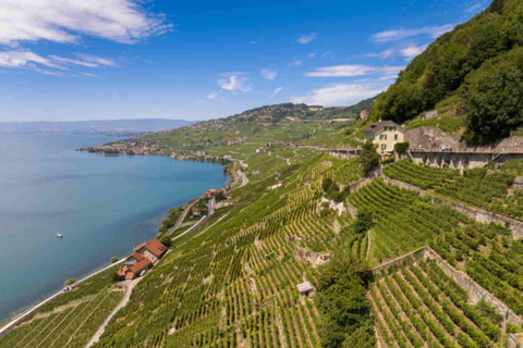 Private Lavaux Vineyards & Montreux Experience