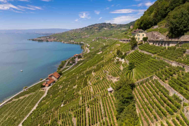 Private Lavaux Vineyards & Montreux Experience