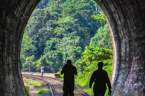 Traslado de TukTuk da Estação Ferroviária de Demodara para o Ella Hotel