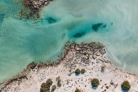 Tour privato di un'intera giornata per famiglie alla spiaggia di Elafonisi e ad Agia Sofia
