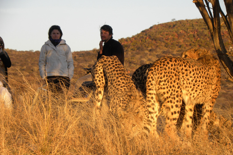 Smaak van Namibië Avonturentour