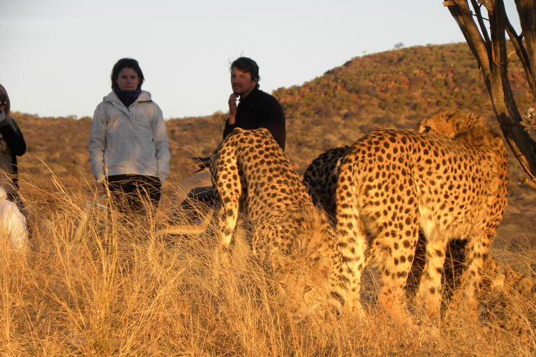 Geschmack von Namibia Abenteuer Tour