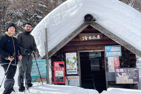 Shikotsu-Toya National Park: Guided Snowshoe Hike and Onsen Shikotsu-Toya National Park: Guided Snowshoe Hike and Onsen.
