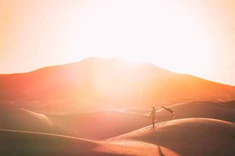 Doha: Gemeinsame Wüstensafari, Sandboarding, KamelrittGemeinsame Wüsten-Tour