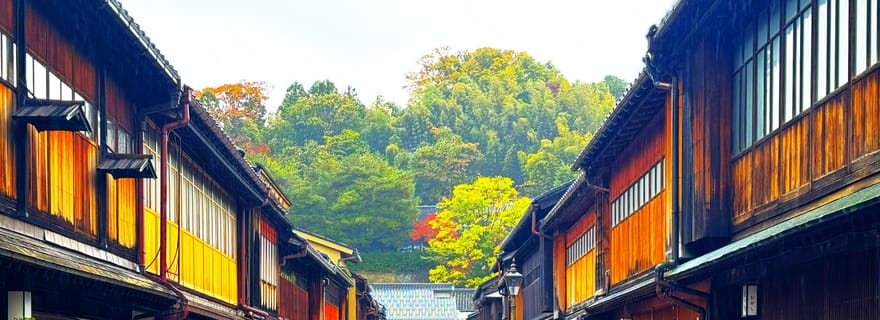 Kanazawa : visite privative d'une demi-journée - jardin, château, geisha