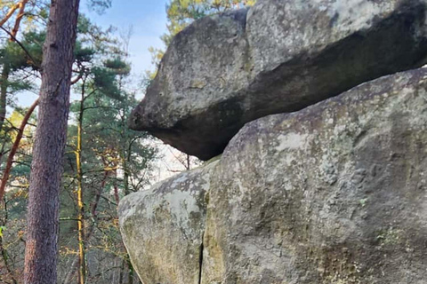 Climb in Fontainebleau from Paris with a certified guide
