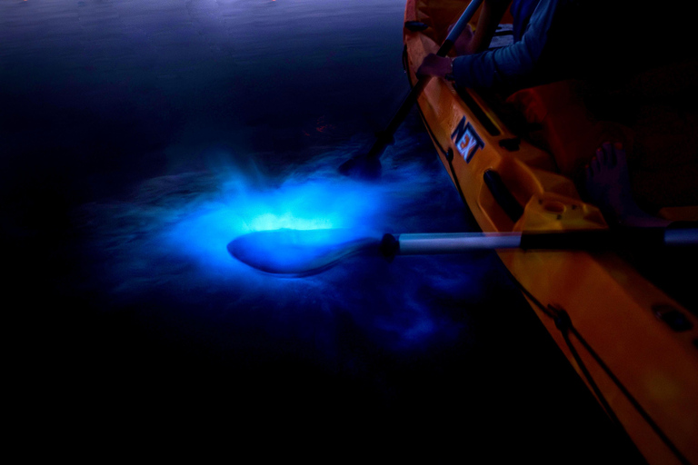 Merritt Island: Small-Group Clear Kayak Bioluminescence Tour
