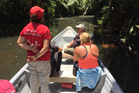 Quito: to Cuenca visiting Cotopaxi, Quilotoa, Baños, the Amazon, and Ingapirca