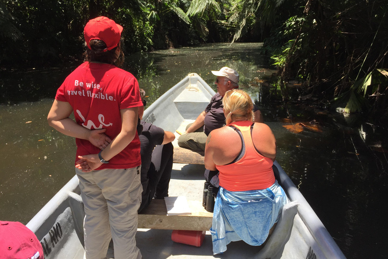 Quito: to Cuenca visiting Cotopaxi, Quilotoa, Baños, the Amazon, and Ingapirca