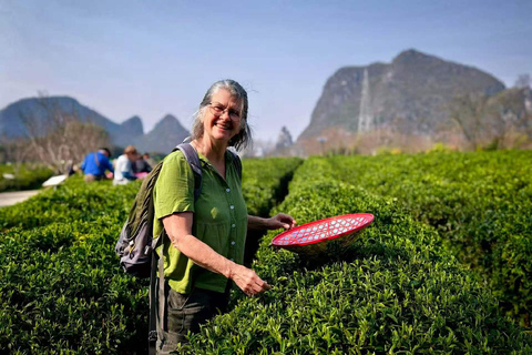 Yangshuo: Tea Picking & Chinese Fan Painting Experience English-Speaking Guide Included