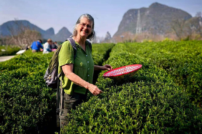 Yangshuo: Tea Picking & Chinese Fan Painting Experience English-Speaking Guide Included