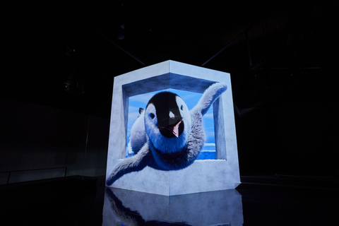 Paju: Museum HEI Immersive Media Art Exhibition Entry Ticket