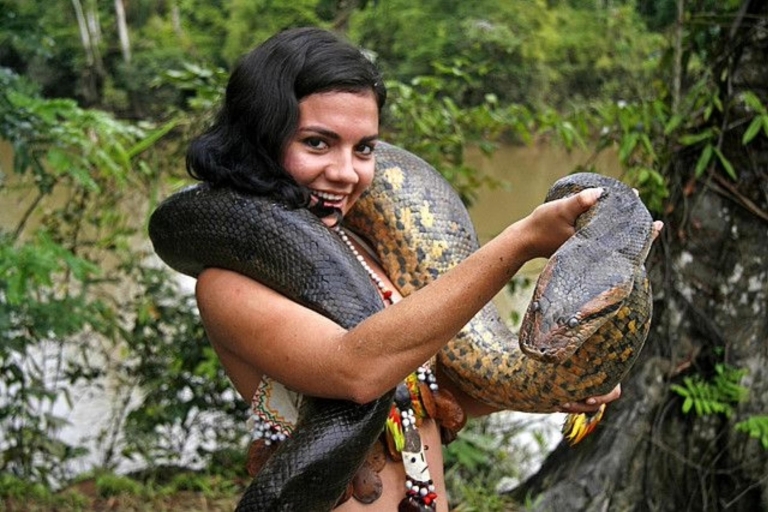 Offre L'île aux singes dans le fleuve Amazone Iquitos Pérou