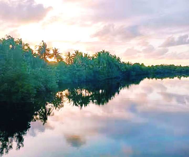 Bongawan Wetland: Proboscis Monkey + Fireflies Tour
