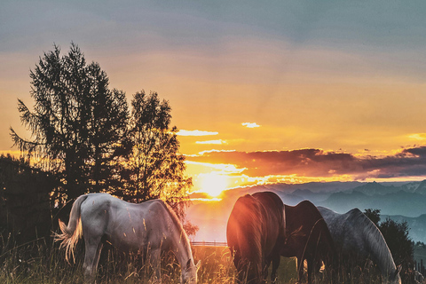 Batangas: Countryside Private Horseback Ride with Cafe Stop