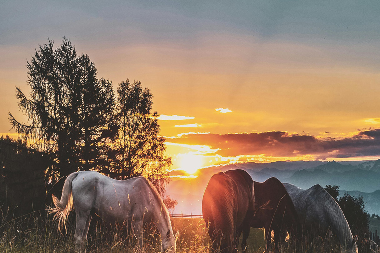 Batangas: Countryside Private Horseback Ride with Cafe Stop