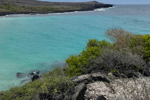 San Cristóbal Island: Highlands Tour with Tortoises
