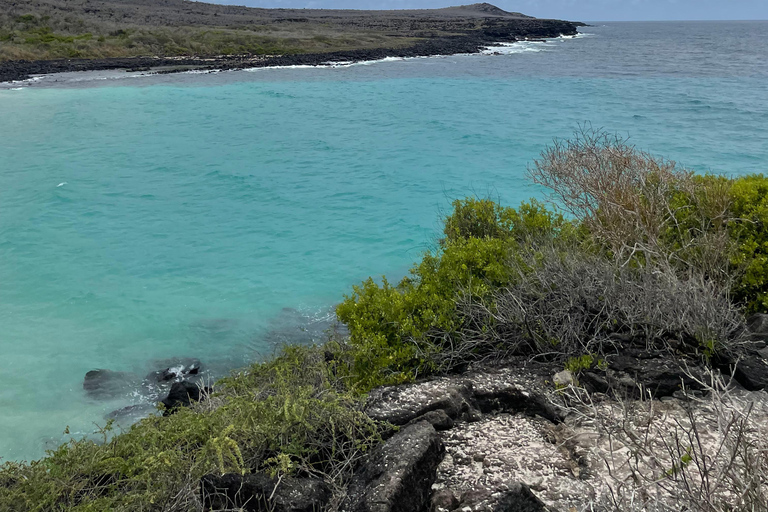 San Cristóbal Island: Highlands Tour with Tortoises
