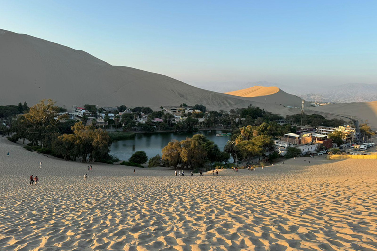 From Lima: Full Day Private All Inclusive Paracas, Ica.