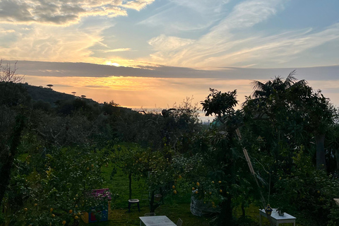 Sorrento: Cooking with a Local Chef & Wine Pairing by the Sea