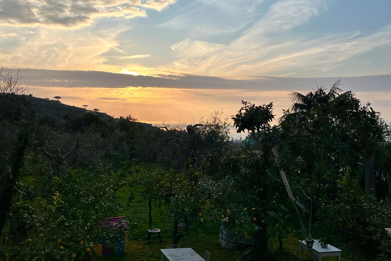 Sorrento: Cooking with a Local Chef & Wine Pairing by the Sea