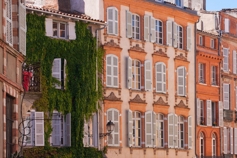 O melhor de Toulouse: excursão a pé particular com um morador localExcursão a pé pela cidade - 2 horas